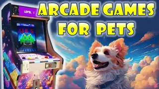 Arcade Games for Pets