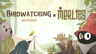 Two Birds, One Screen