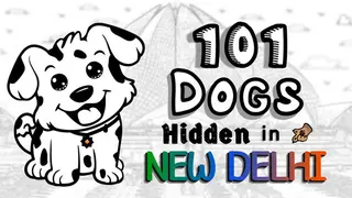 101 Dogs Hidden in New Delhi