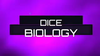 Dice Biology