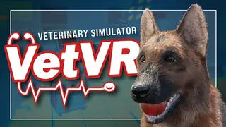 VetVR