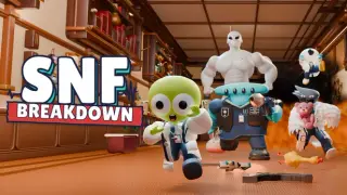 SNF Breakdown