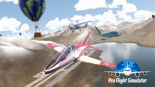 Pro Flight Simulator