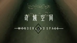 奇域空间(Wonderland Space)