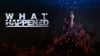 What Happened