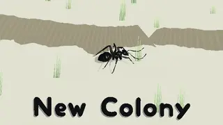 New Colony