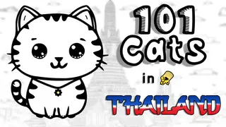101 Cats in Thailand
