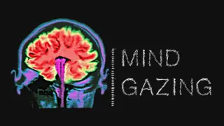 Mind Gazing