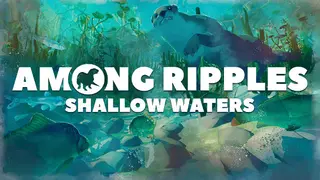 Among Ripples: Shallow Waters
