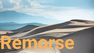 Remorse