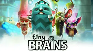 Tiny Brains