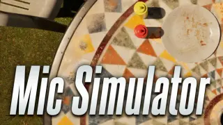 Mic Simulator