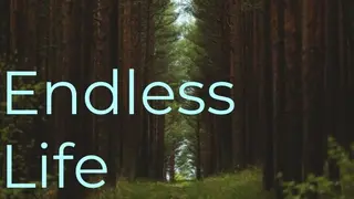 Endless Life