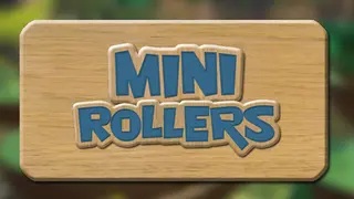 Mini Rollers