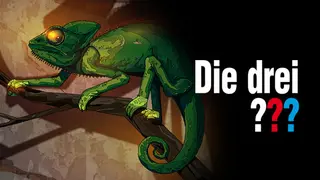 Die drei ??? - Plan der Chamäleonbande