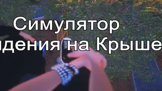 Симулятор Сидения на Крыше