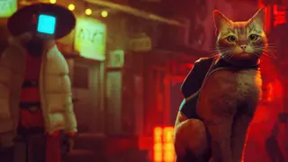 Stray - PS4 & PS5