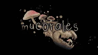 Mucorales