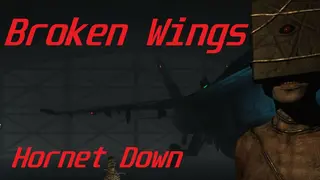 Broken Wings: Hornet Down