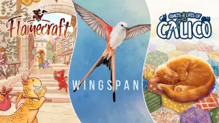 Birds, Cats & Dragons