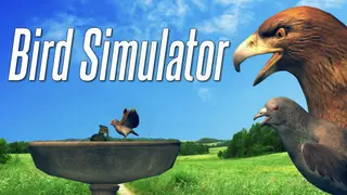 Bird Simulator