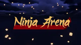 Ninja Arena