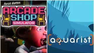 Aquarist in Arcade Shop