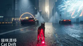 猫咪漂移 Cat Drift