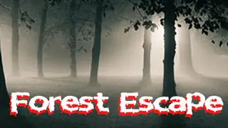 Forest Escape - Xbox One