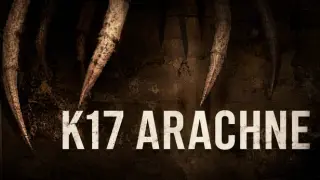K17 ARACHNE