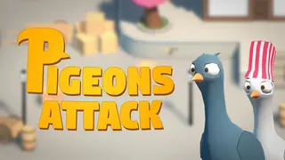 Pigeons Attack