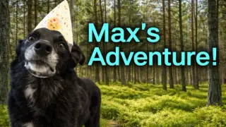 Max's Adventure