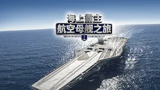 海上霸主:航空母舰之旅
