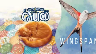 Birds and Cats Special Edition