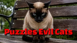 Puzzles Evil Cats