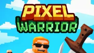 Pixel Warrior - Switch