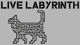 Live Labyrinth