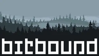 Bitbound