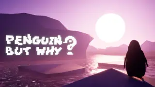 Penguin, but why?