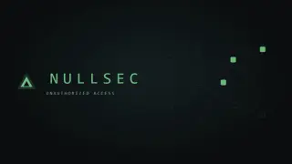 Nullsec: Unauthorized Access