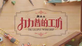 The Lilliput Workshop