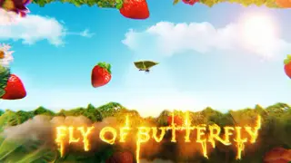 Fly of butterfly