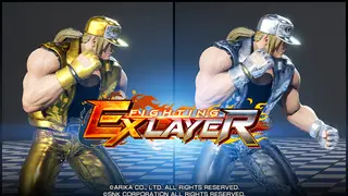 FIGHTING EX LAYER - Color Gold/Silver: Terry