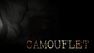 Camouflet