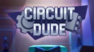 Circuit Dude - Switch