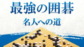 最強の囲碁 ～名人への道～ / Igo Meijin