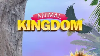 Animal Kingdom