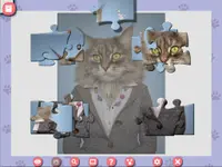 1001 Jigsaw. Cute Cats 5 1