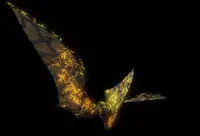 Primal Carnage: Extinction - Ultimate Flyer Pack DLC Ultimate 2