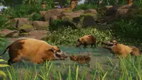 Planet Zoo: Tropical Pack 2